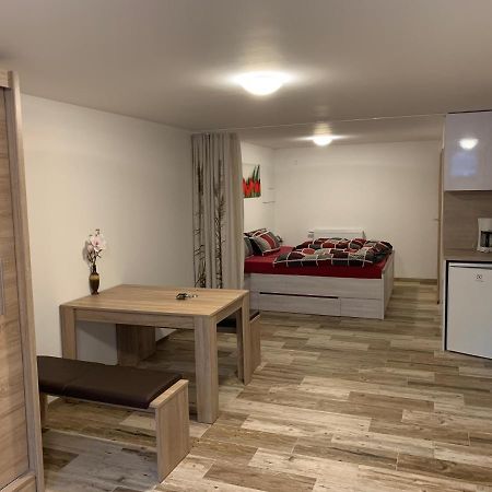 Apartament Apartman 206 Spicak Železná Ruda Zewnętrze zdjęcie